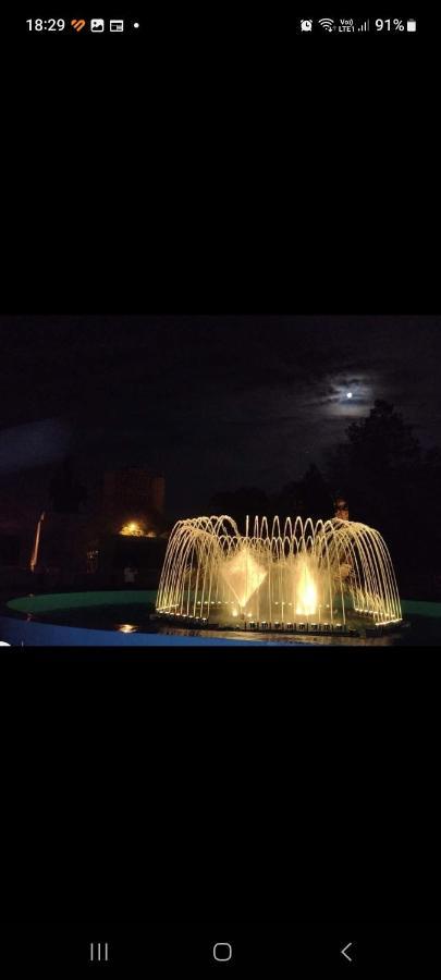 Casa Cojocaru Bed & Breakfast Turnu Măgurele Екстериор снимка